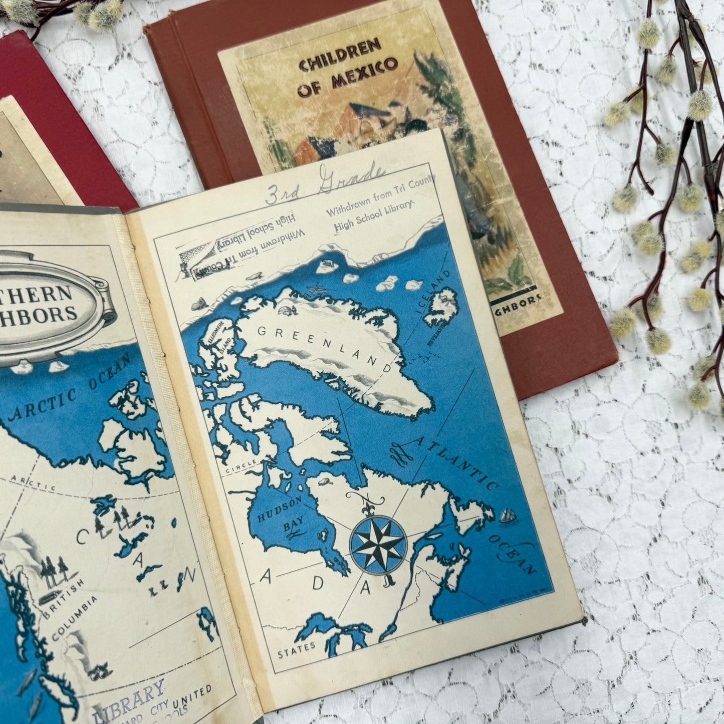 Vintage Book Set