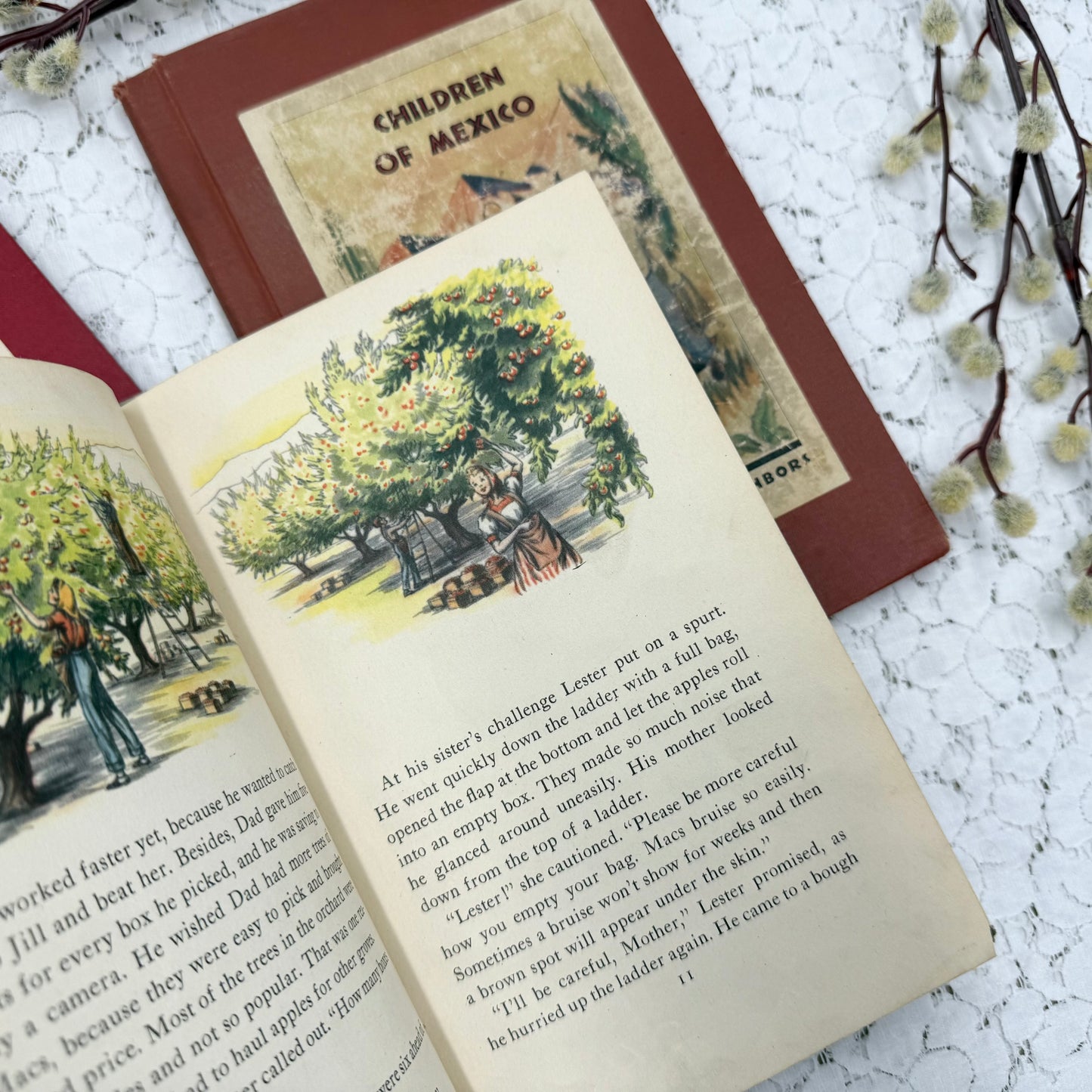 Vintage Book Set