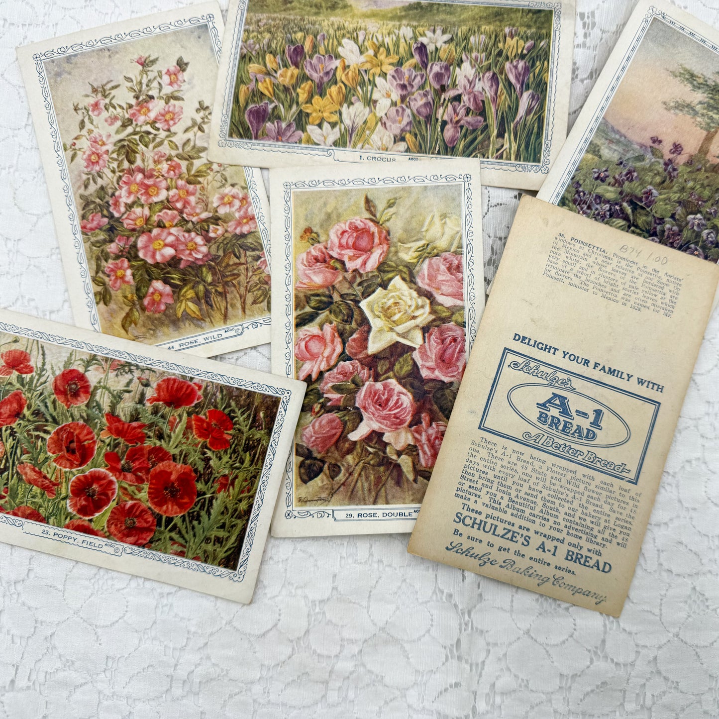 Vintage Floral Cards