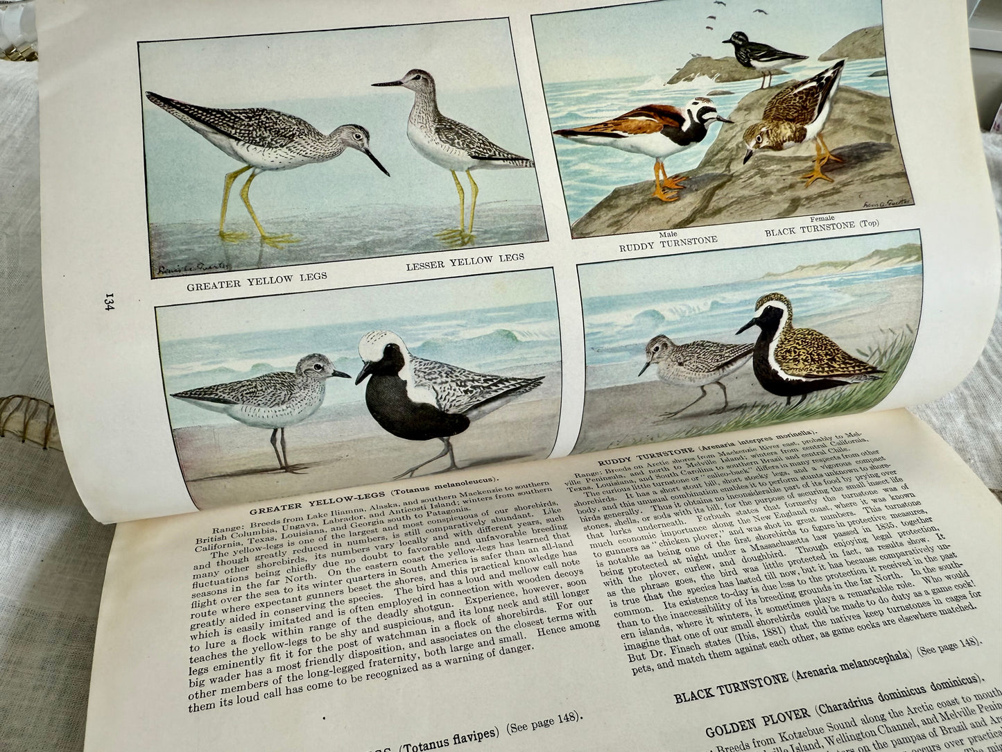 Aug 1915 National Geographic Magazine
