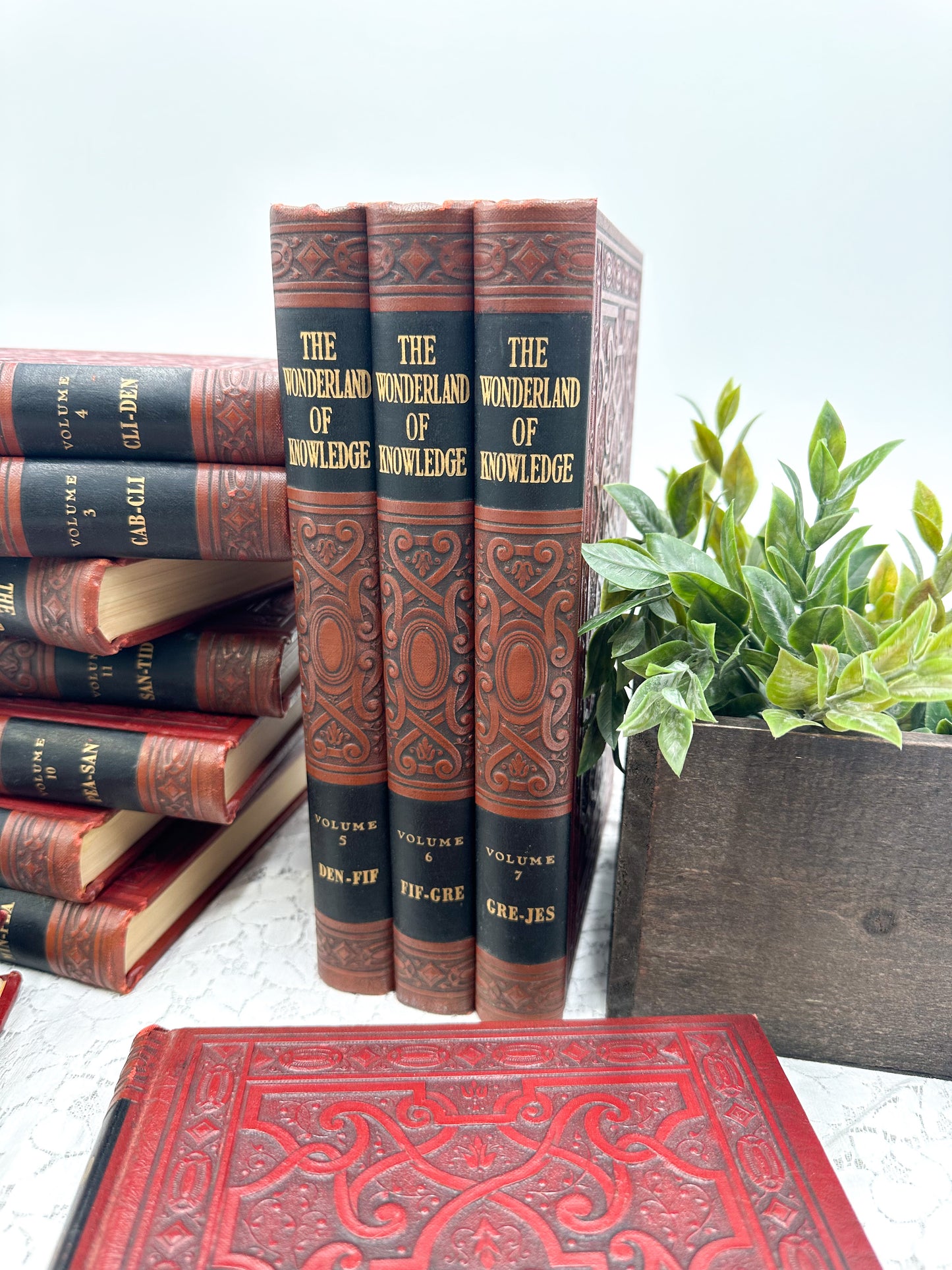 Embossed Book- The Wonderland of Knowledge (12 Available)