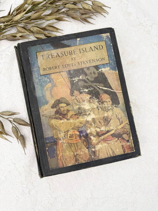 Treasure Island Book