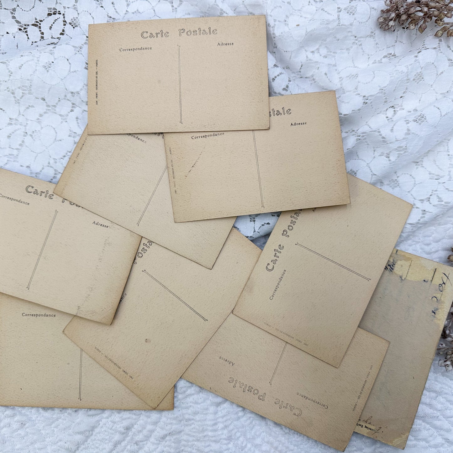 Vintage Postcard Set
