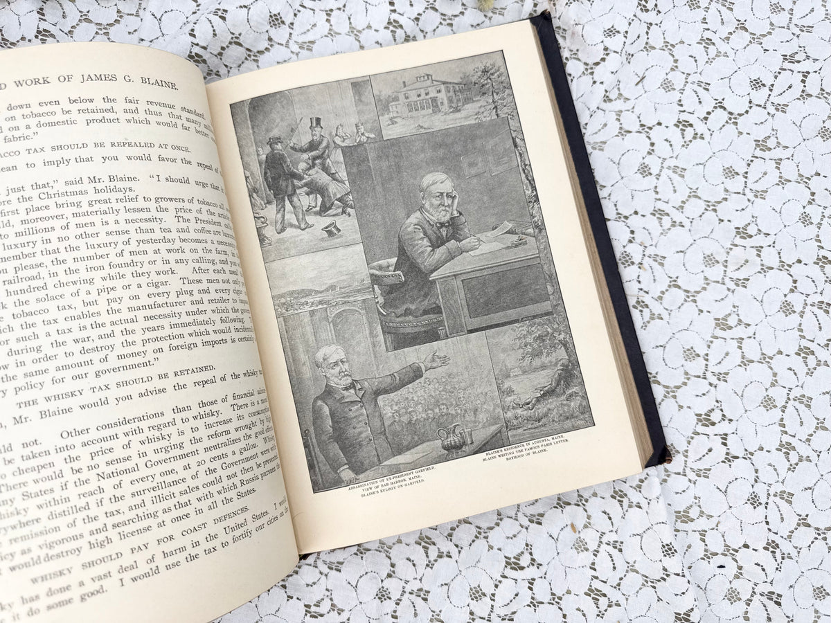 The Life of James G Blaine