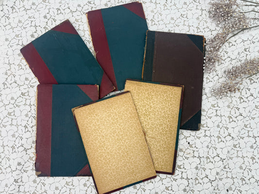 Vintage Book Cover Set