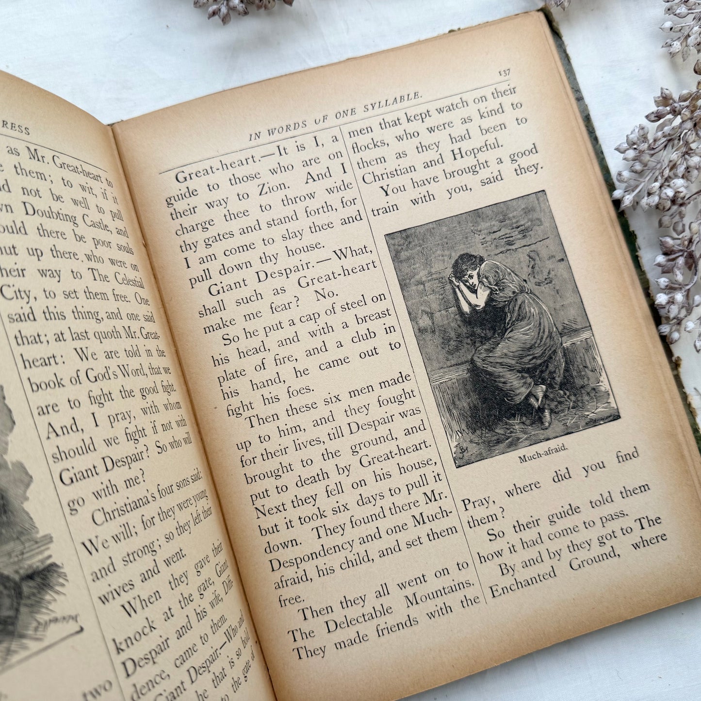 Pilgram's Progress (Illustrated)