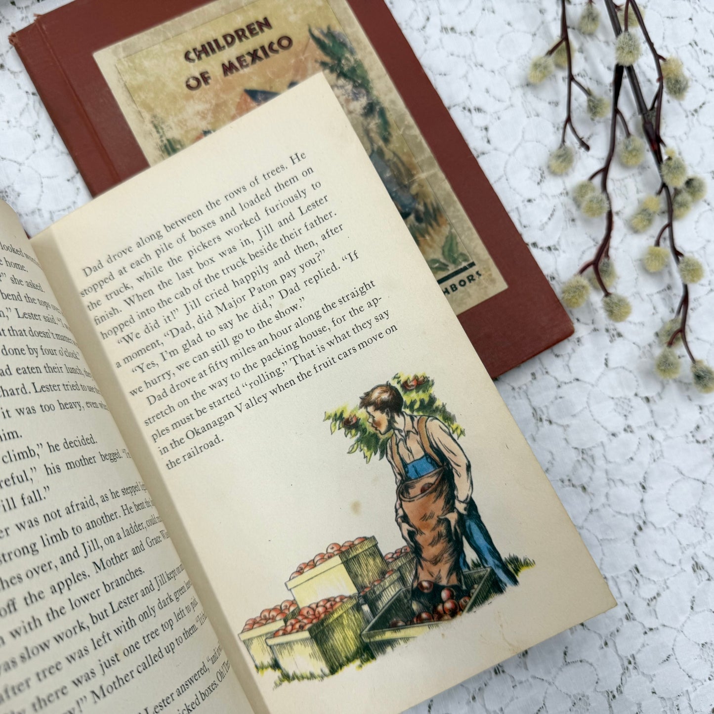 Vintage Book Set