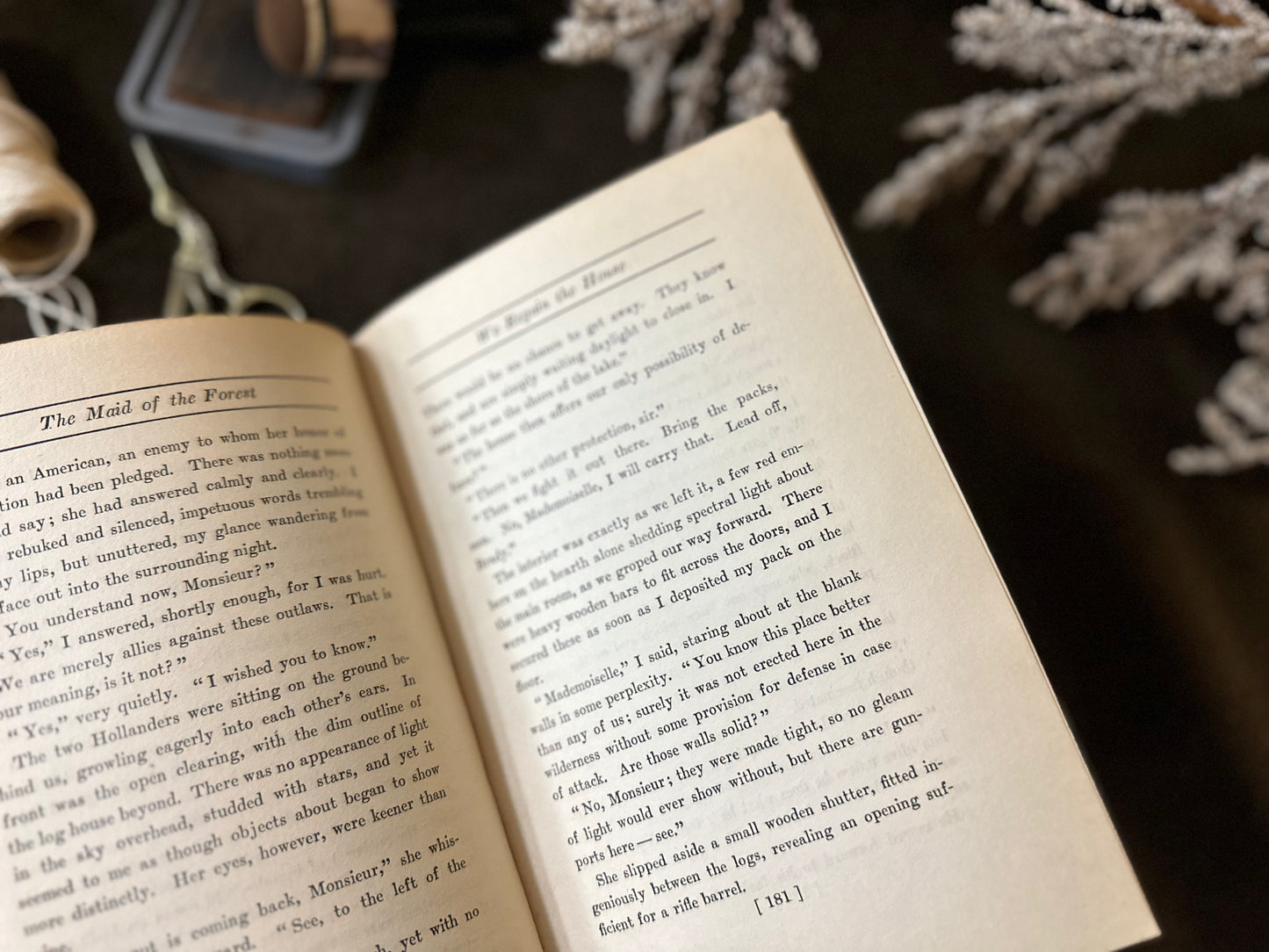 Beautiful Vintage Book