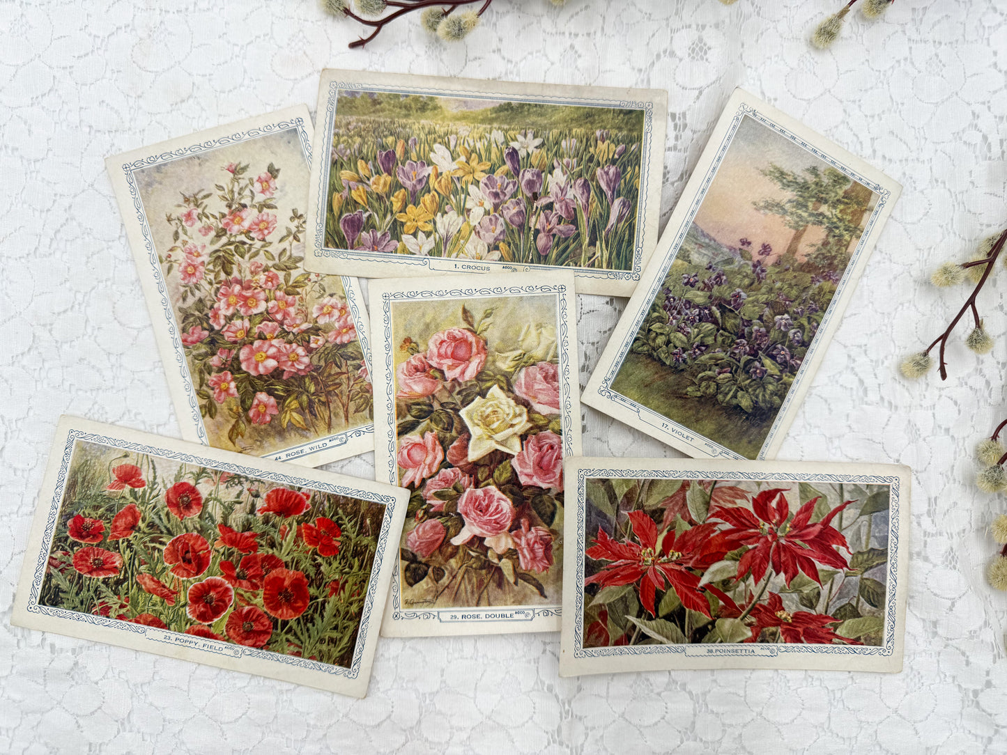 Vintage Floral Cards