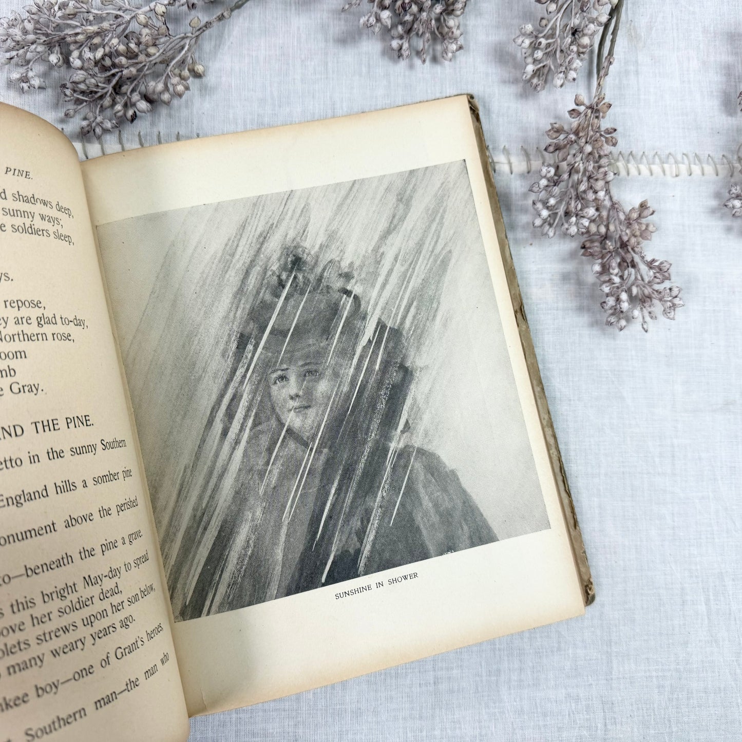 Uncle Sam Speaker Book