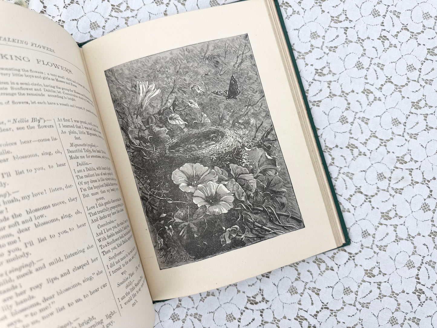 Illustrated Book