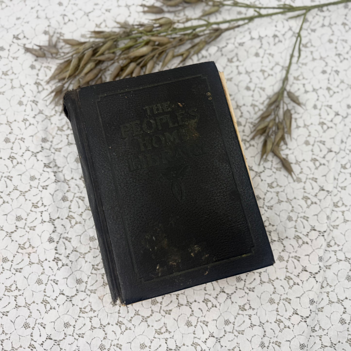 The Peoples Home Manual