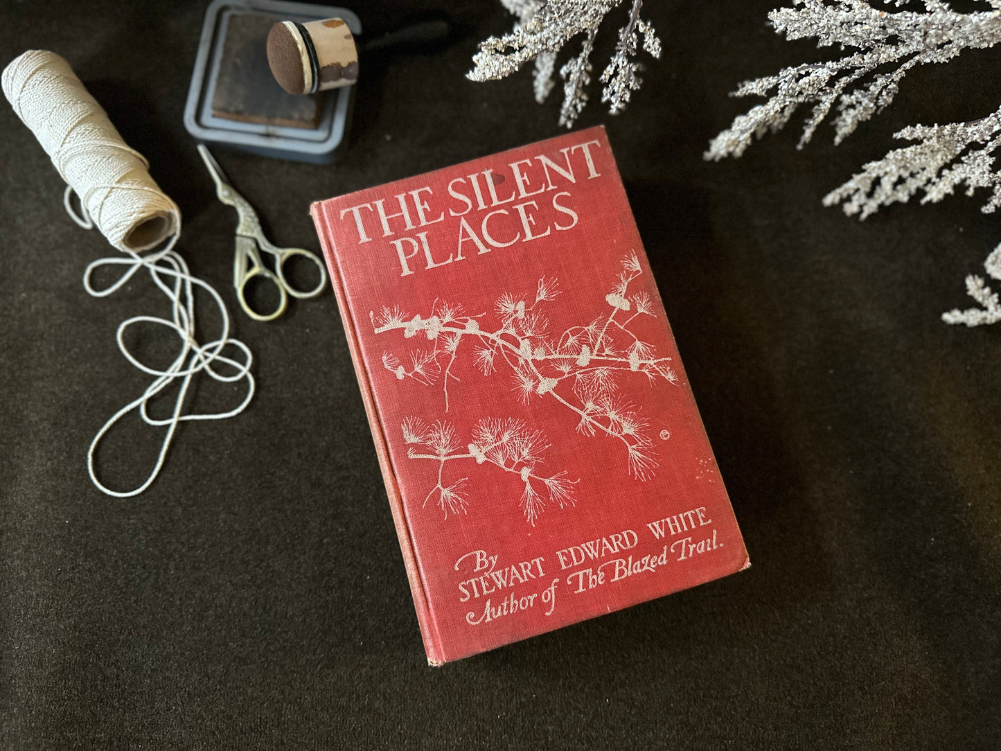 Beautiful Vintage Book