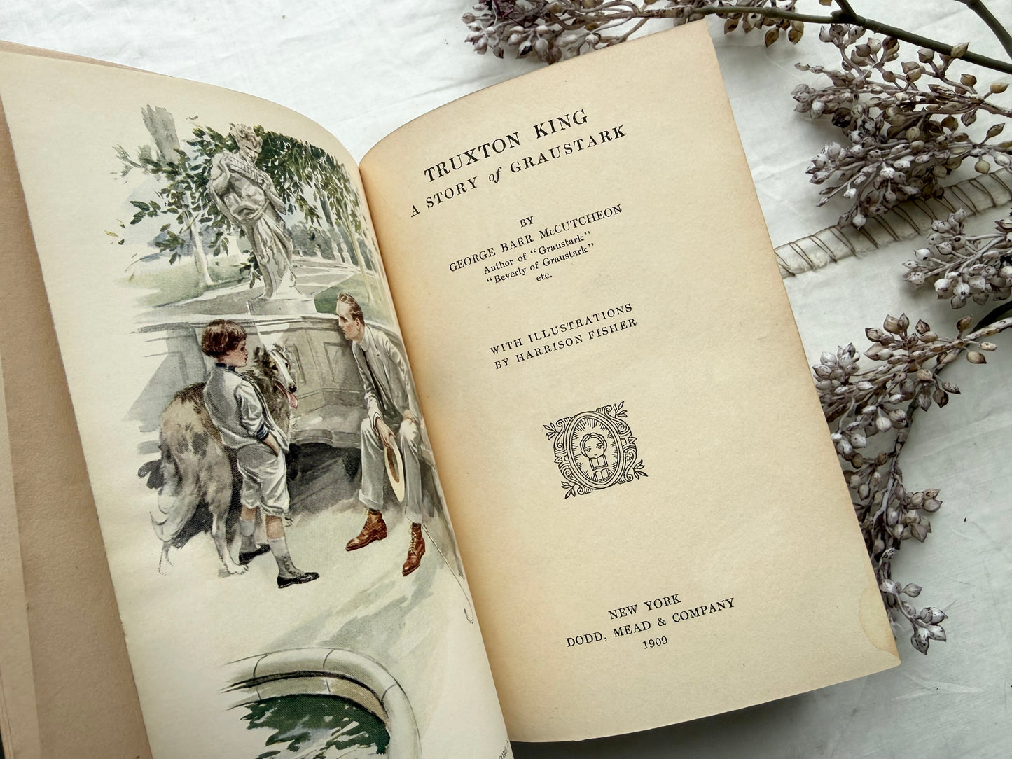 Vintage Book Set with Illustrations