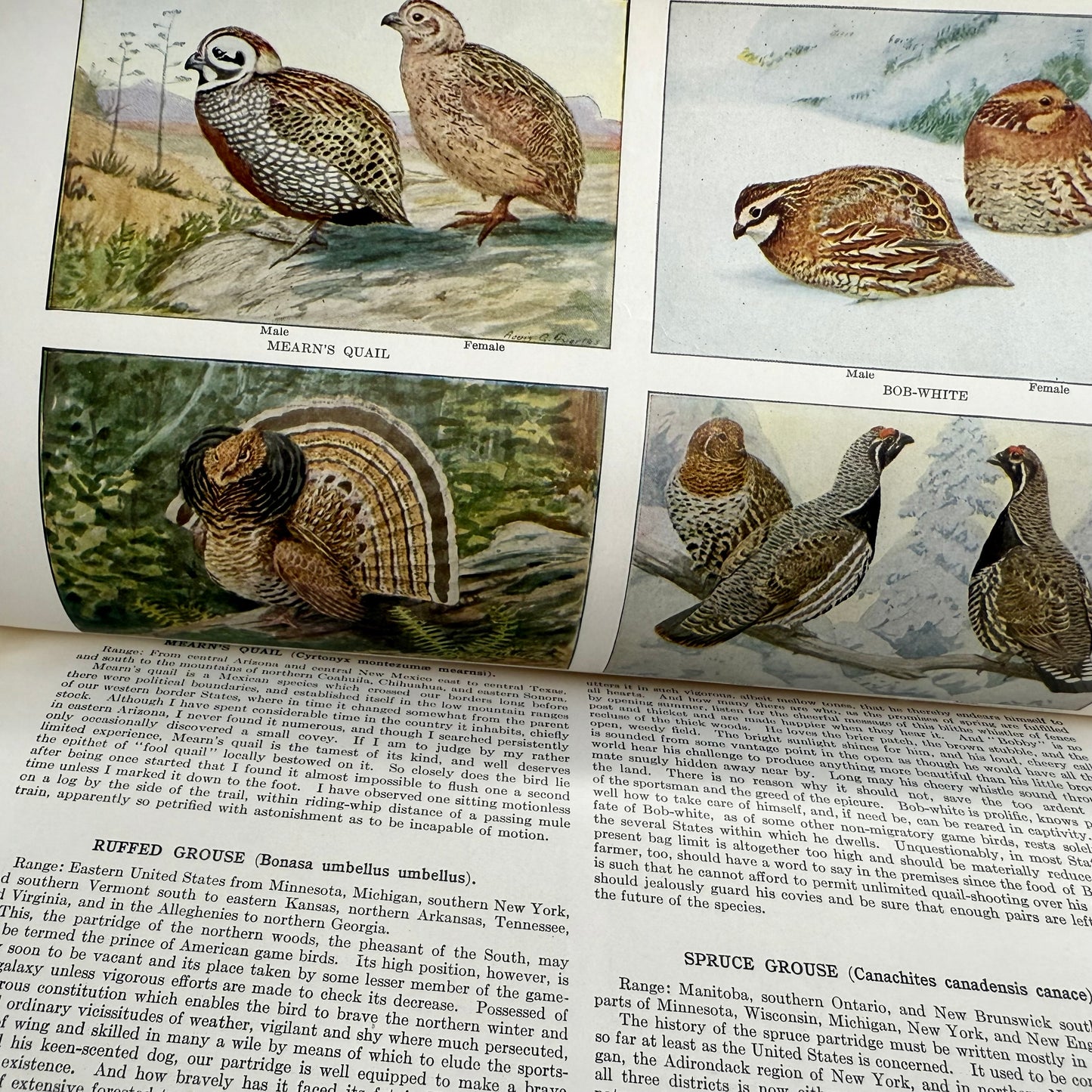 Aug 1915 National Geographic Magazine