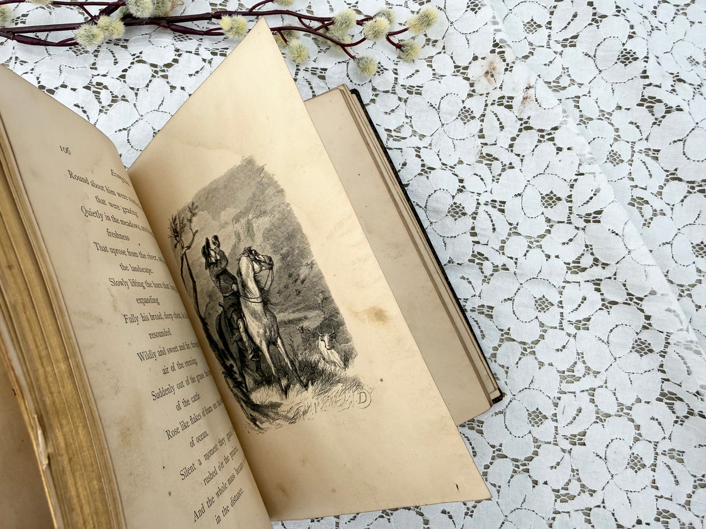 Illustrated Evangeline Book