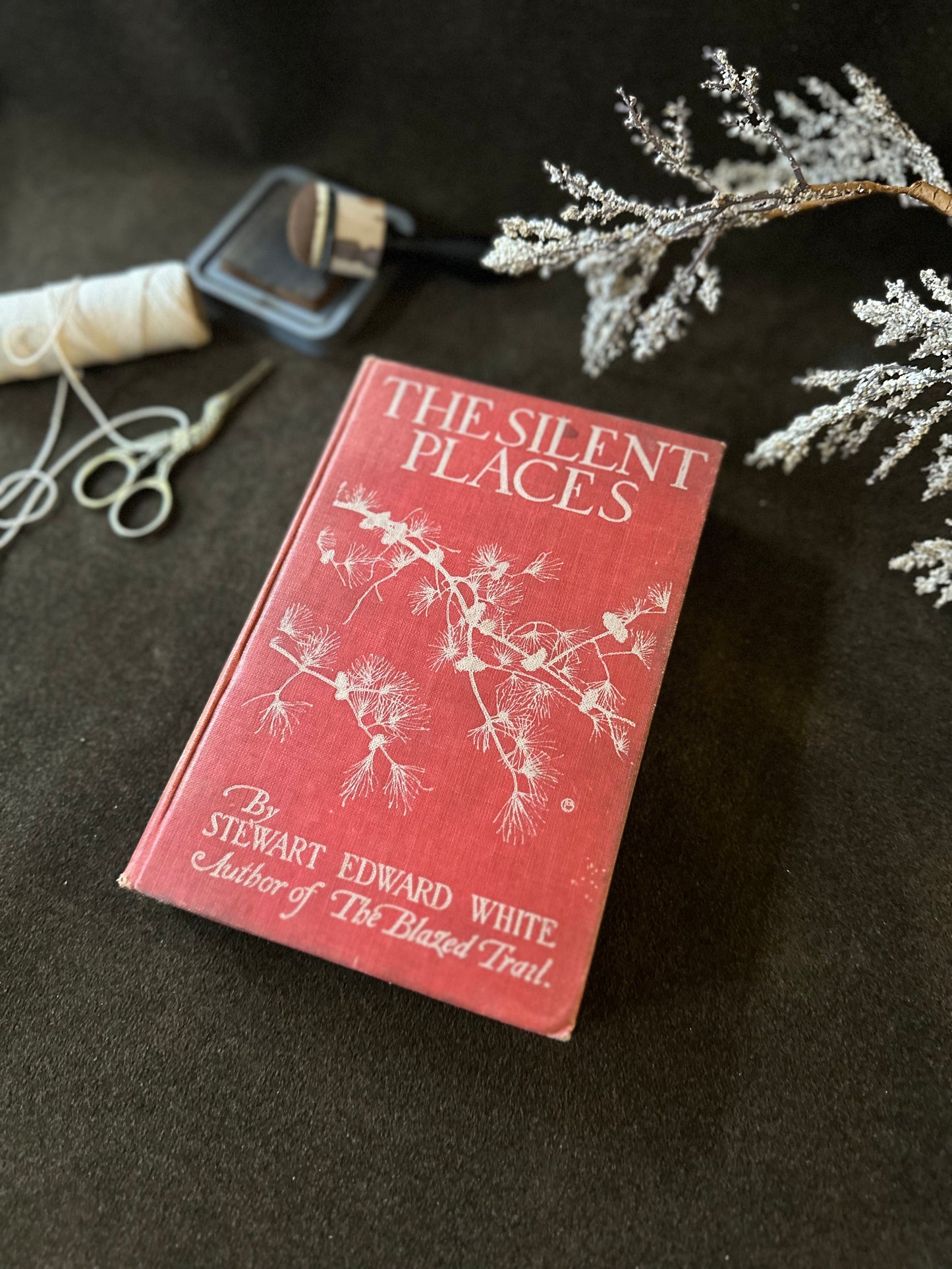 Beautiful Vintage Book