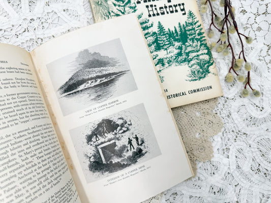 Michigan History Books