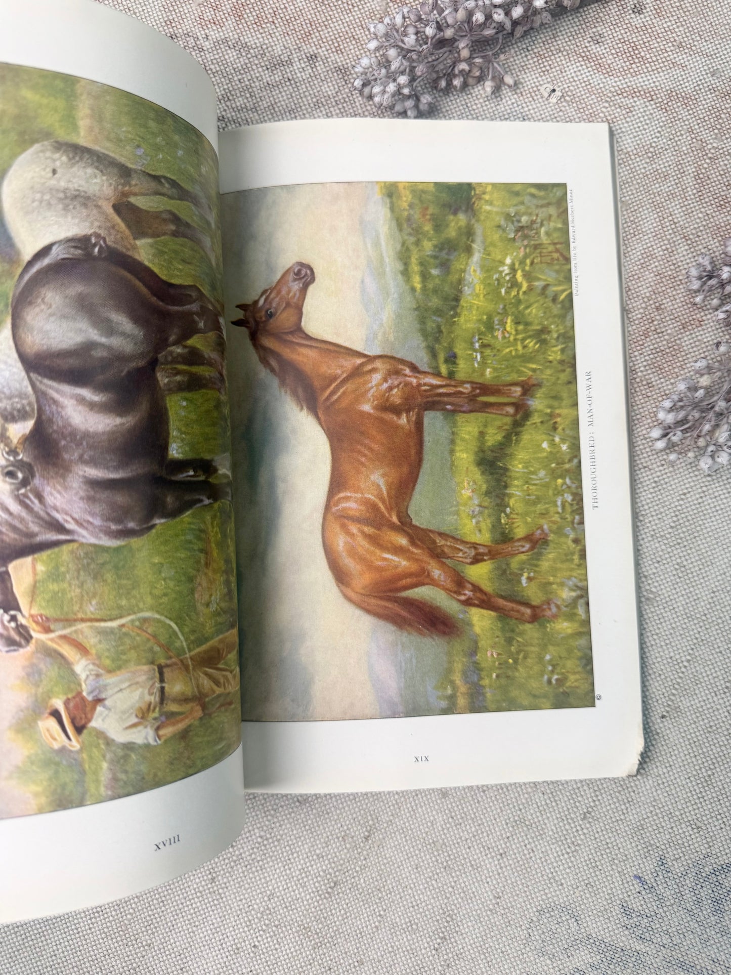 National Geographic Magazine