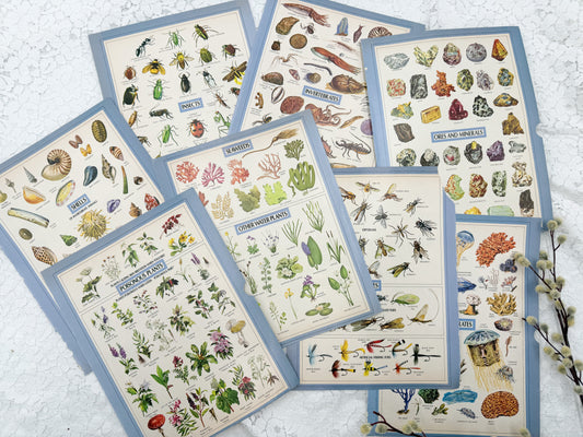 Vintage Encyclopedia Prints