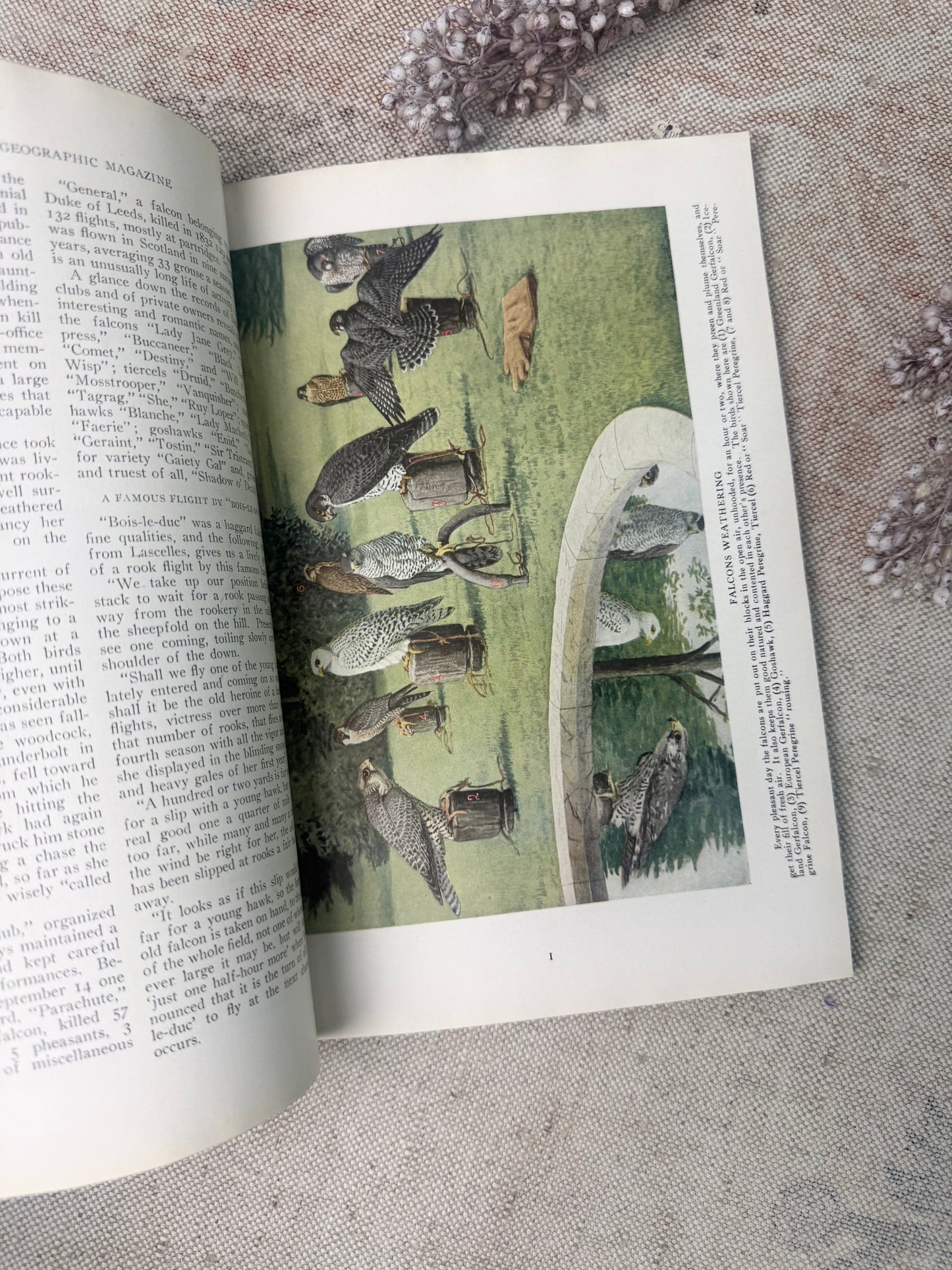 National Geographic Magazine