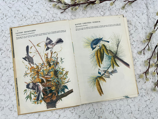 Vintage Bird Book