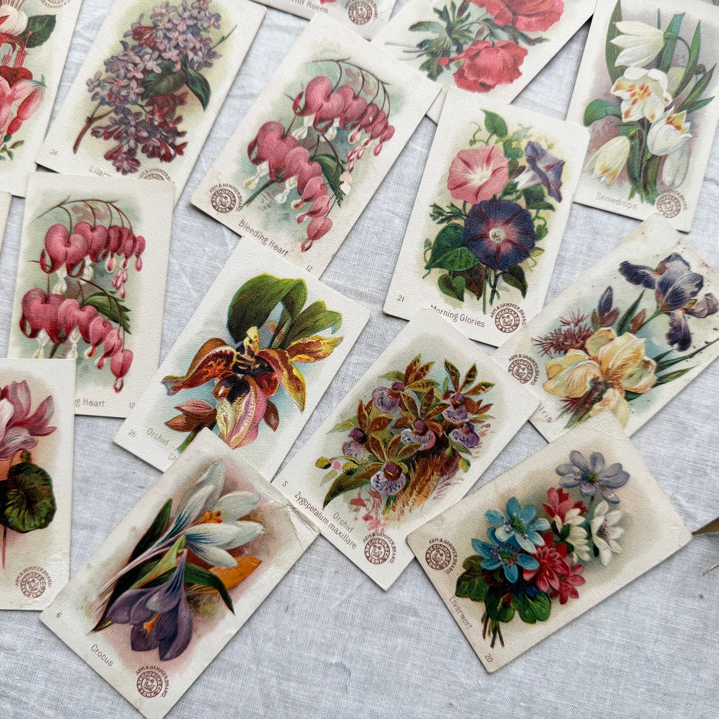 Vintage Floral Trading Card Set