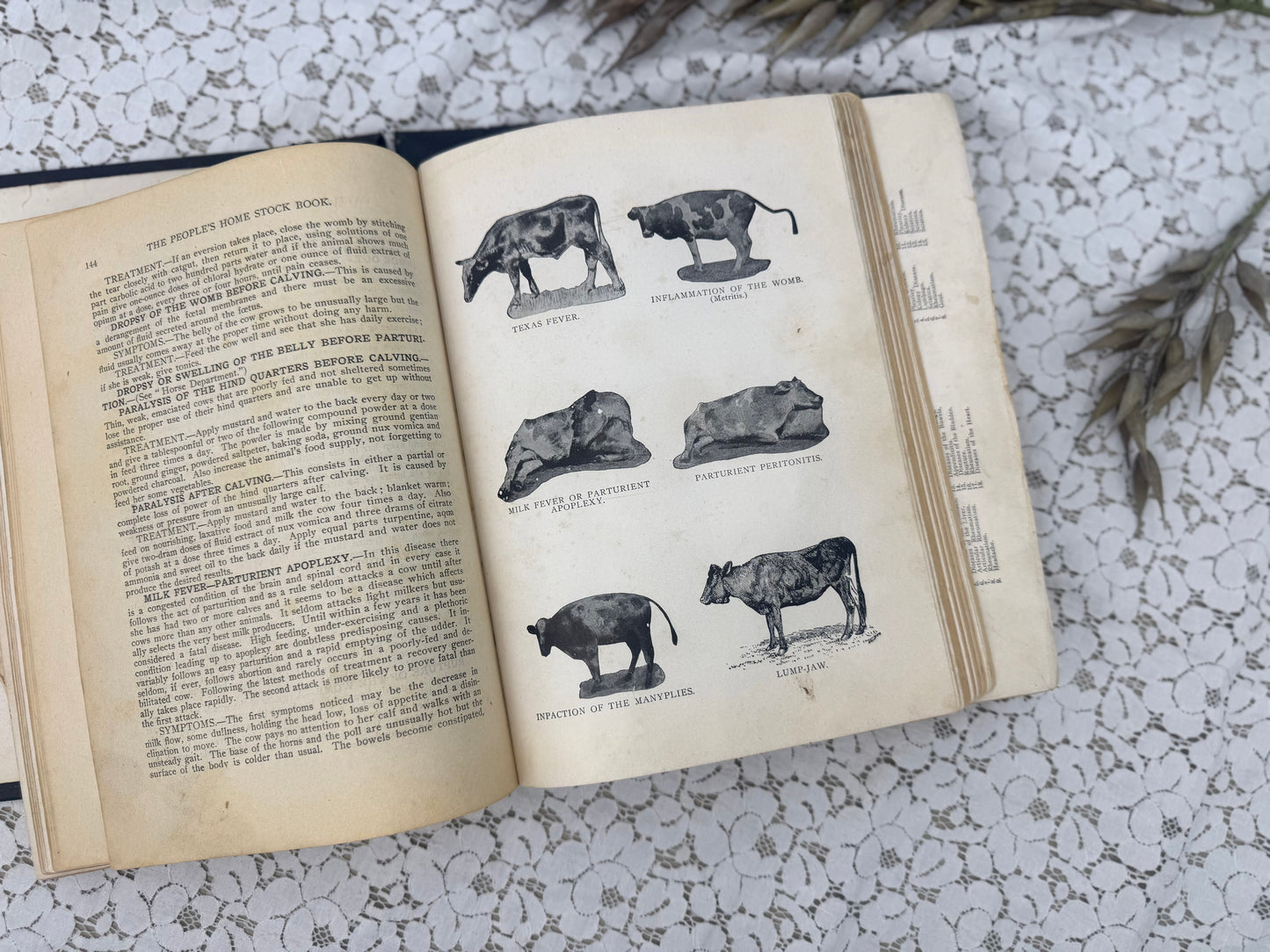 The Peoples Home Manual