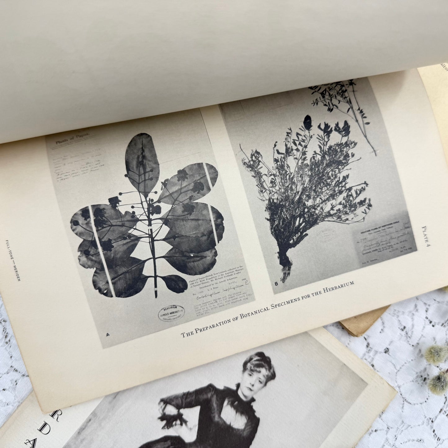 Botany Booklets