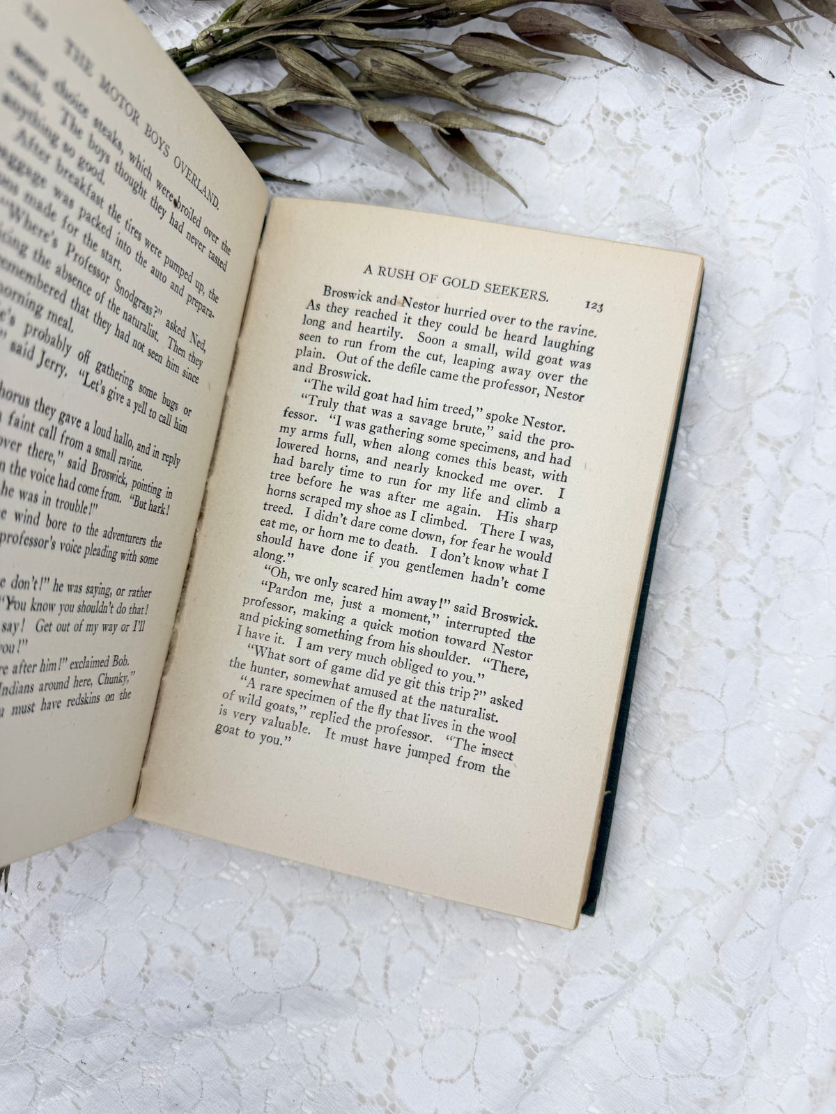 The Motor Boys Overland Book
