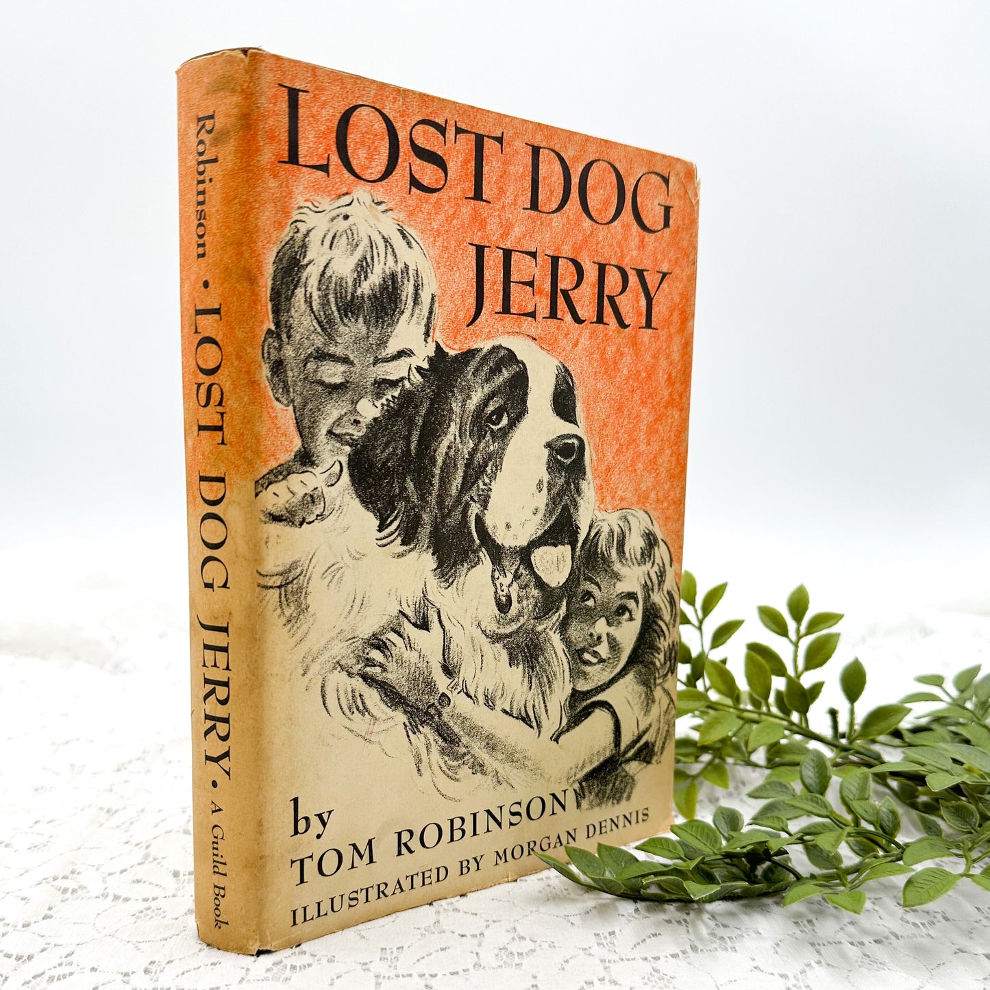 Lost Dog Jerry by Tom Robinson