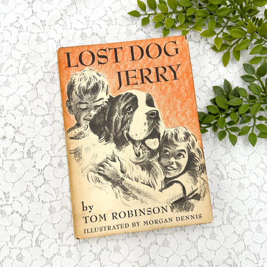 Lost Dog Jerry by Tom Robinson