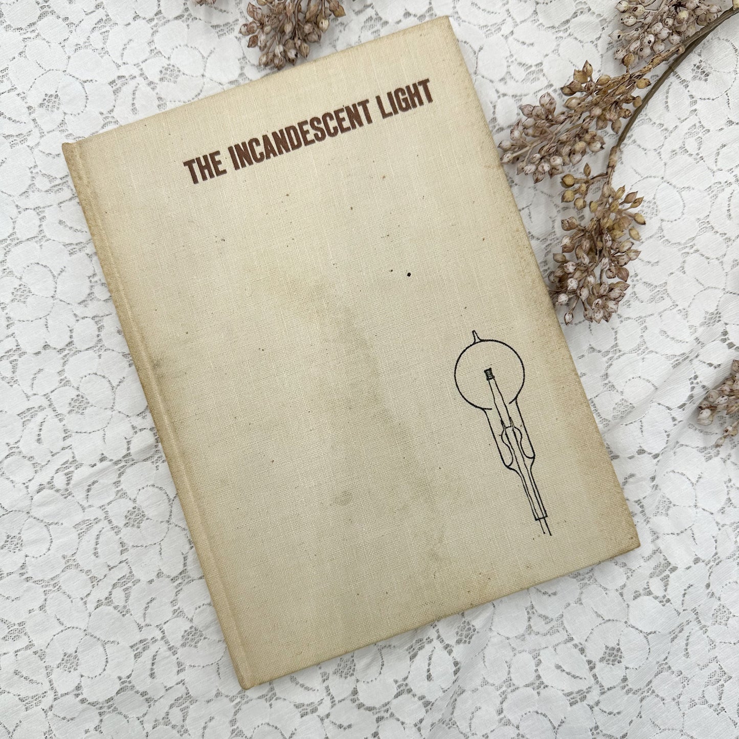 The Incandescent Light Book