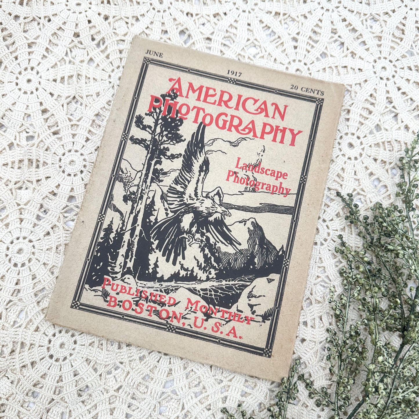 American Photography, 1917 Landscape Photography