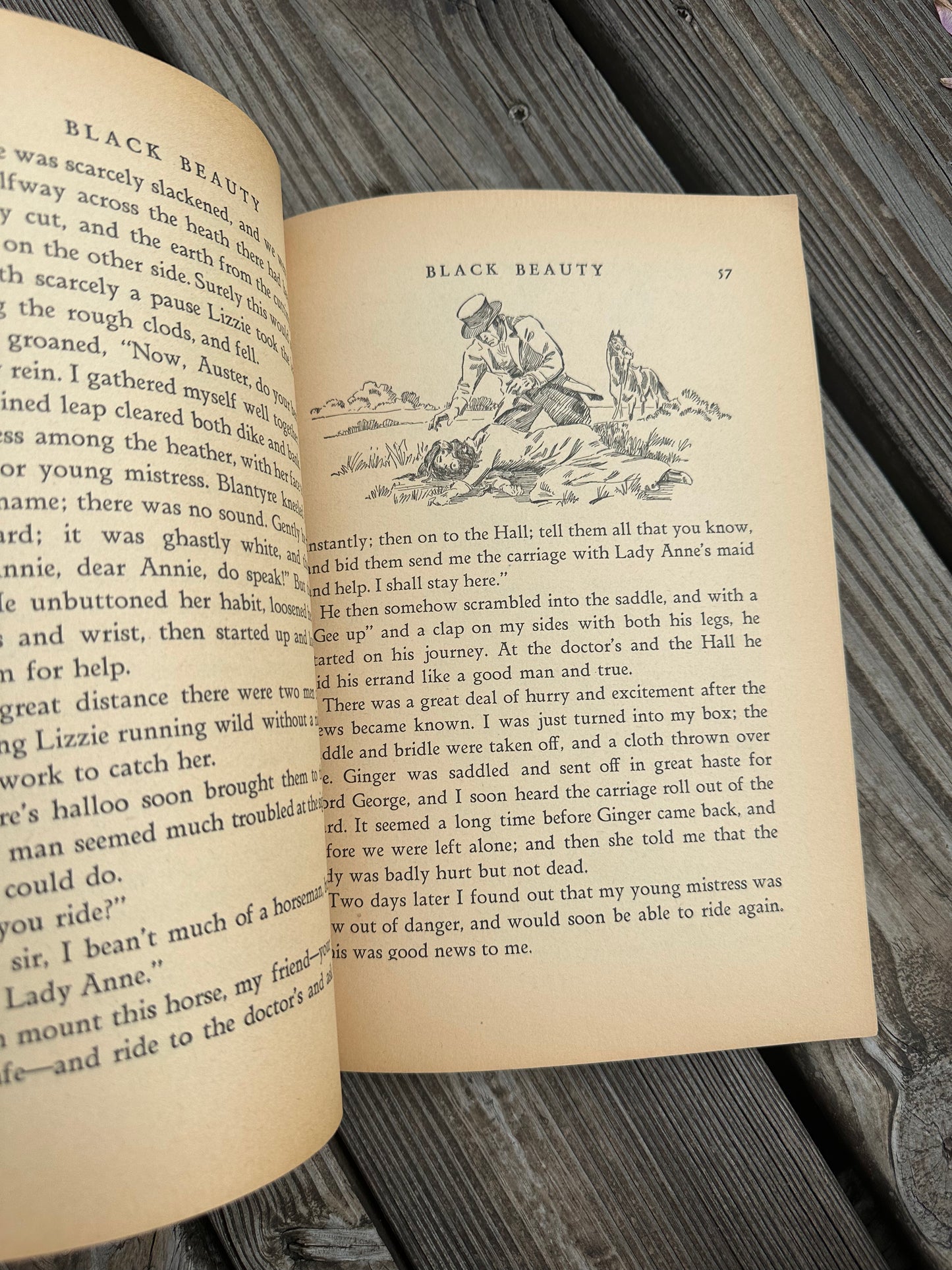 Black Beauty Book