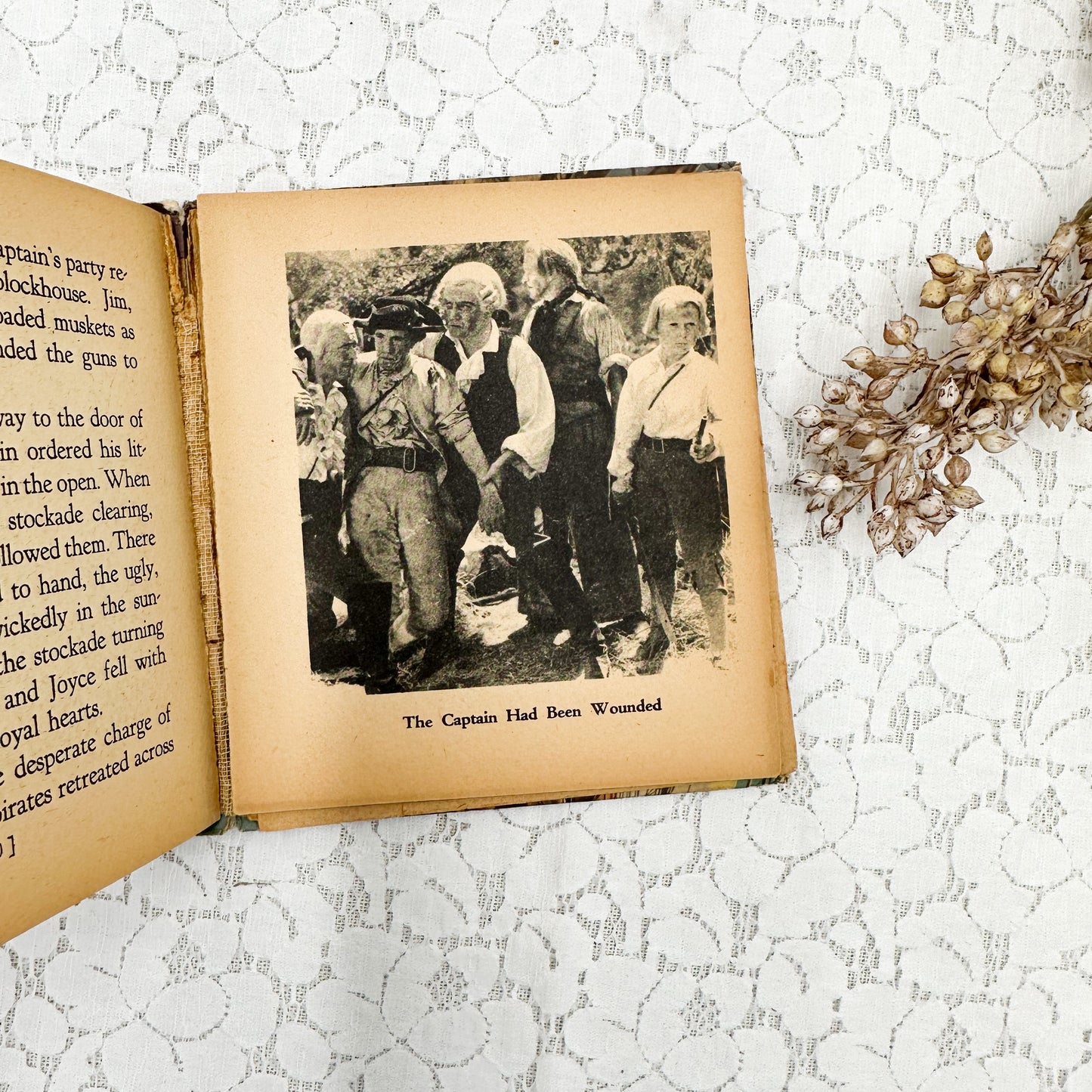 Pocket Book- Treasure Island
