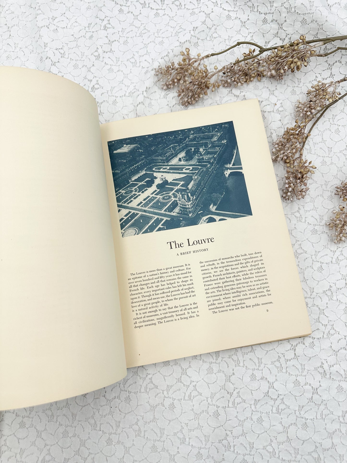 Art Treasures of the Louve