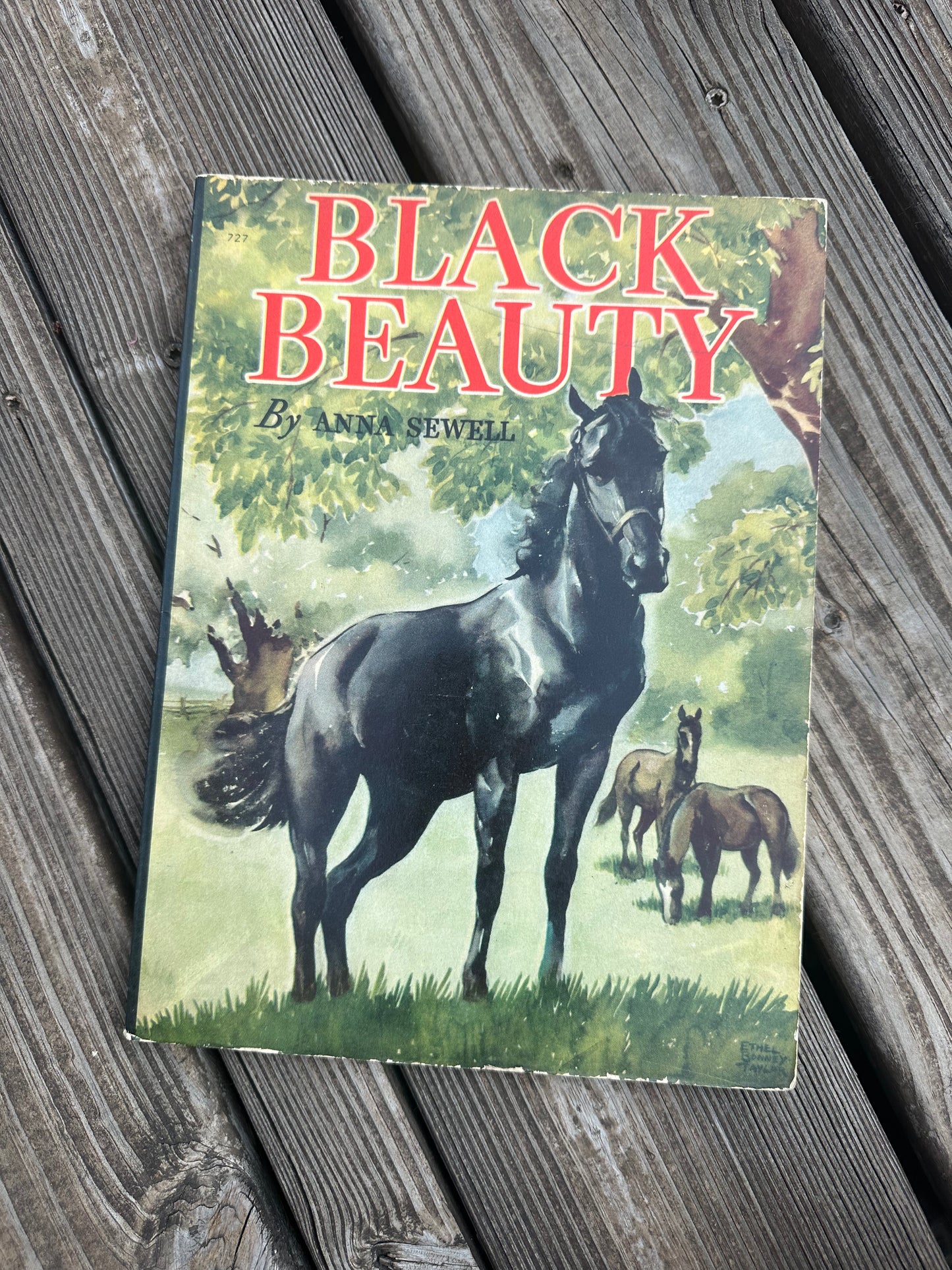 Black Beauty Book