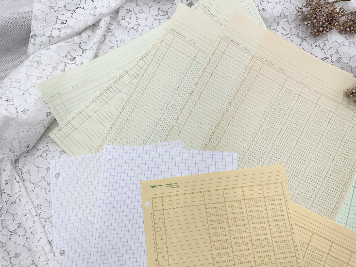 Blank Ledger Papers
