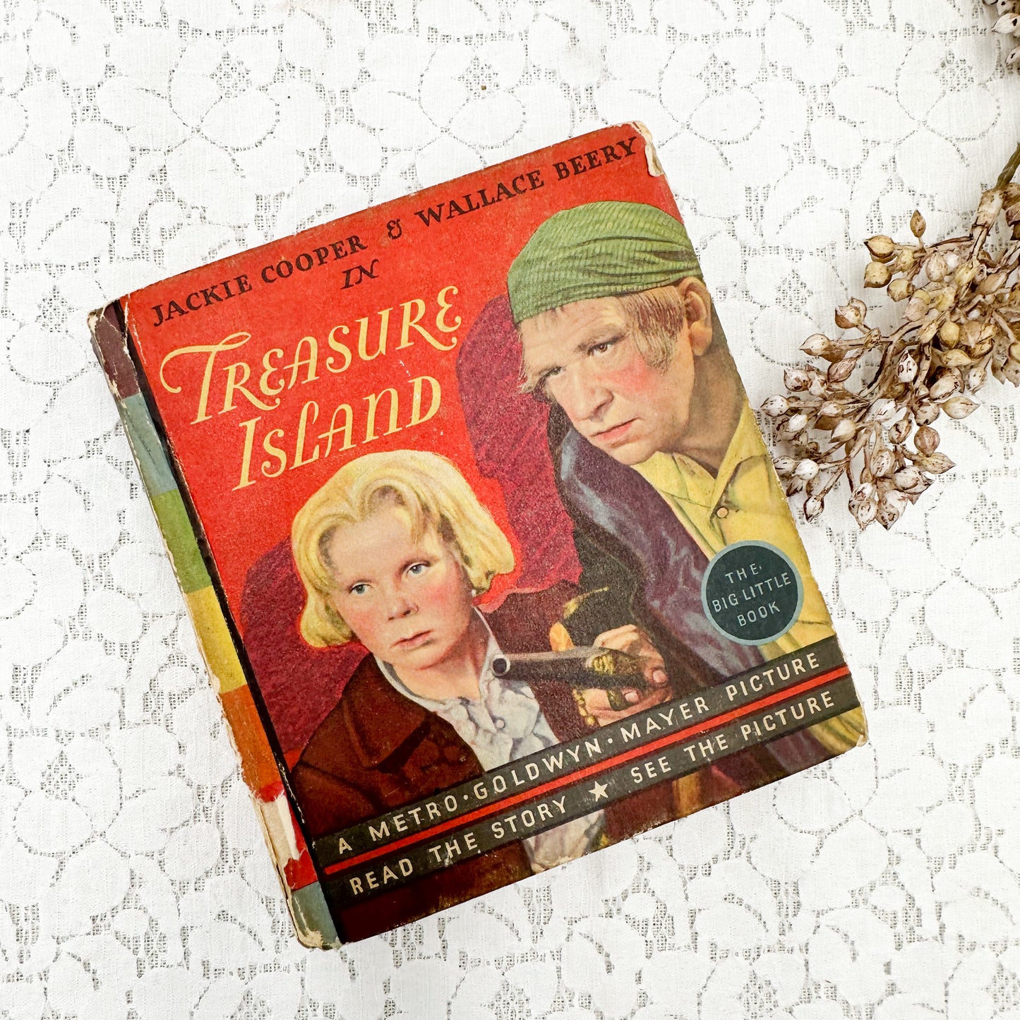 Pocket Book- Treasure Island