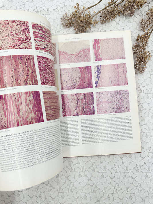 Color Atlas of Histopathology