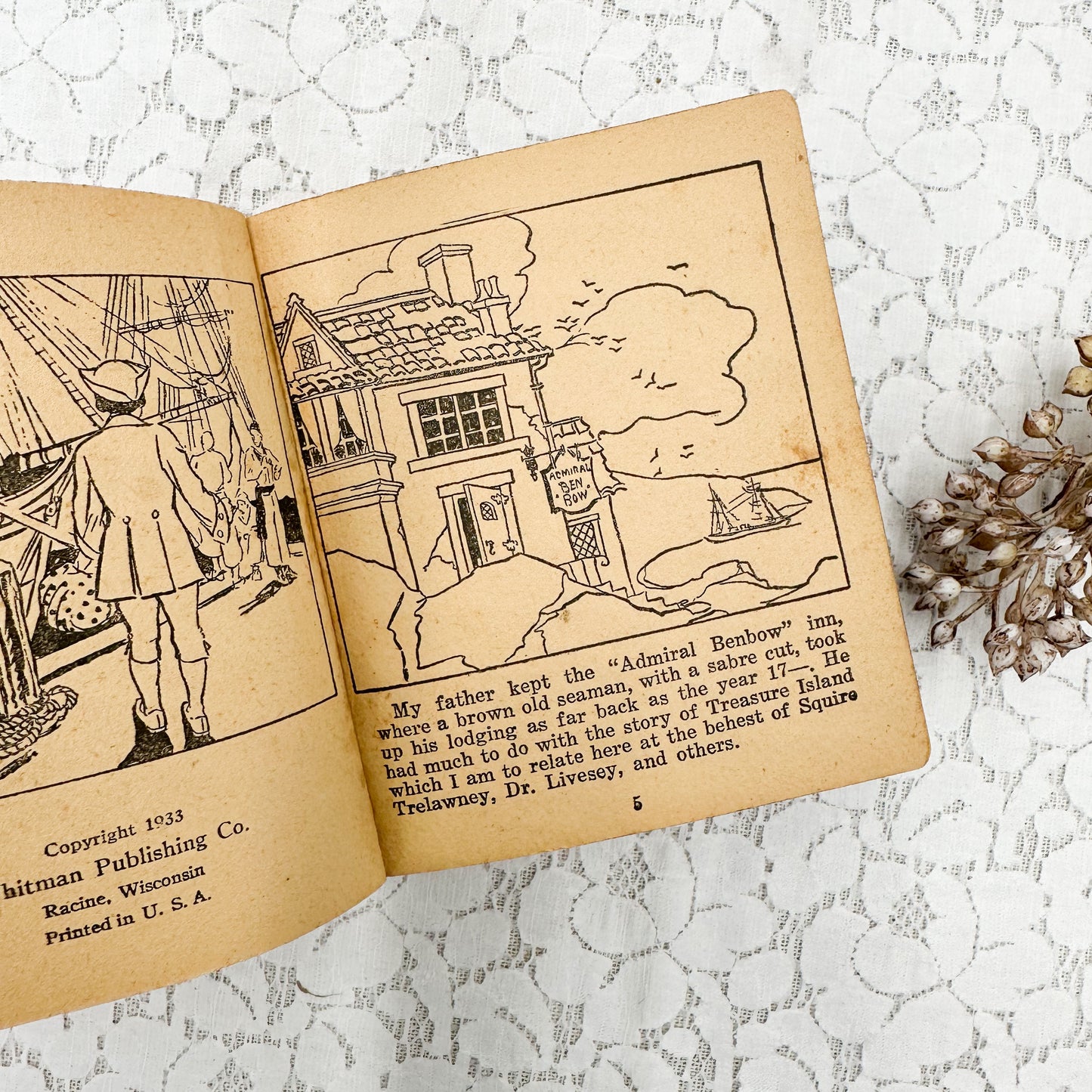 Pocket Book- Treasure Island