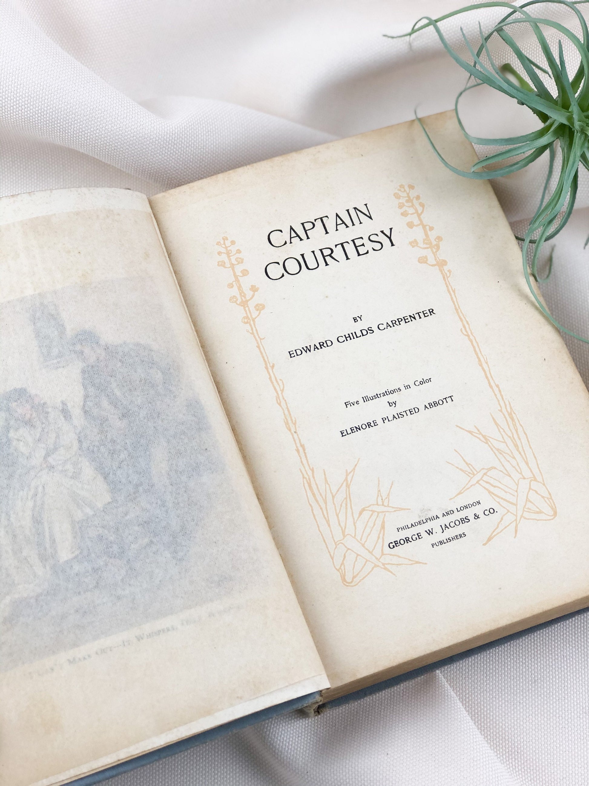 Vintage Book
