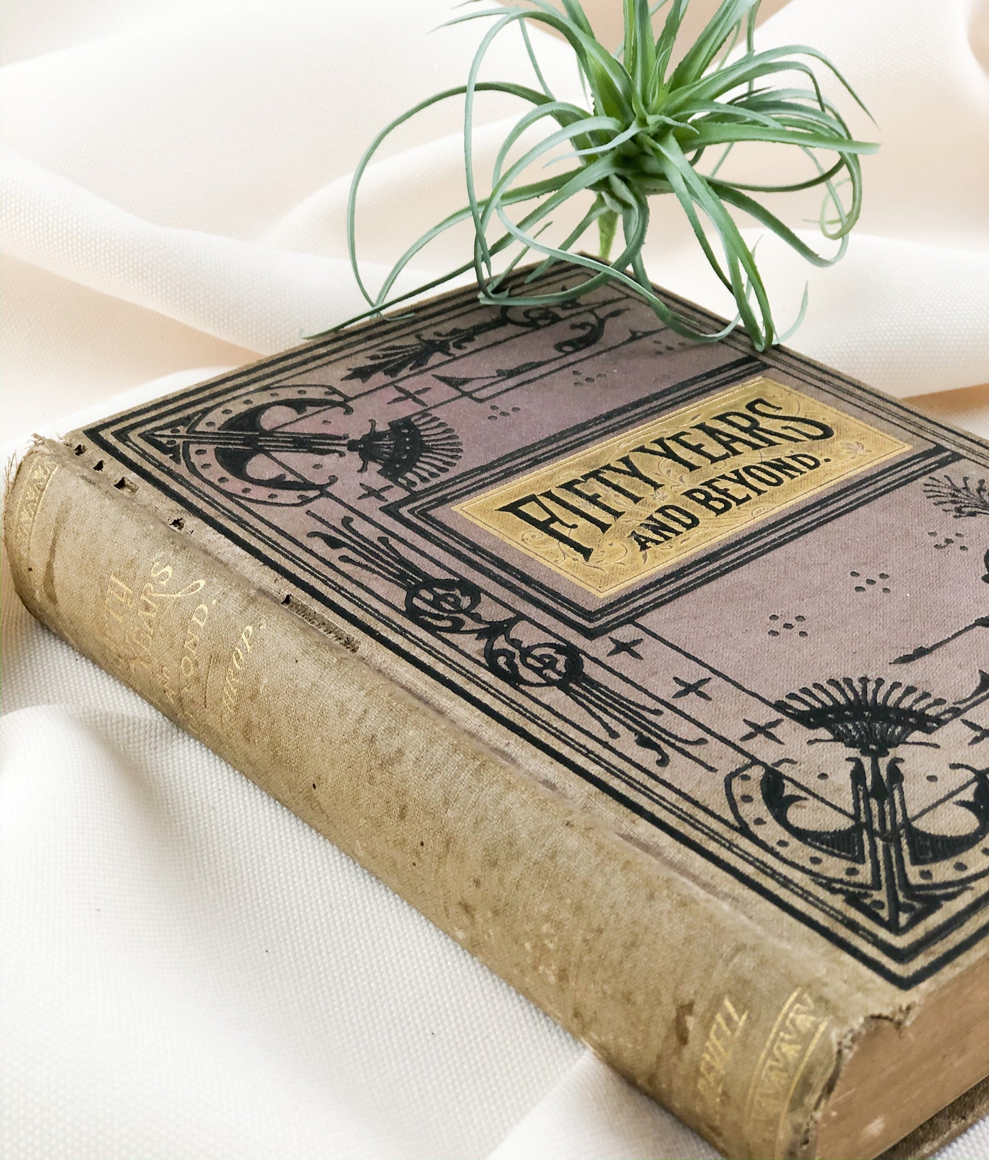 Rare Book, Fifty Years and Beyond