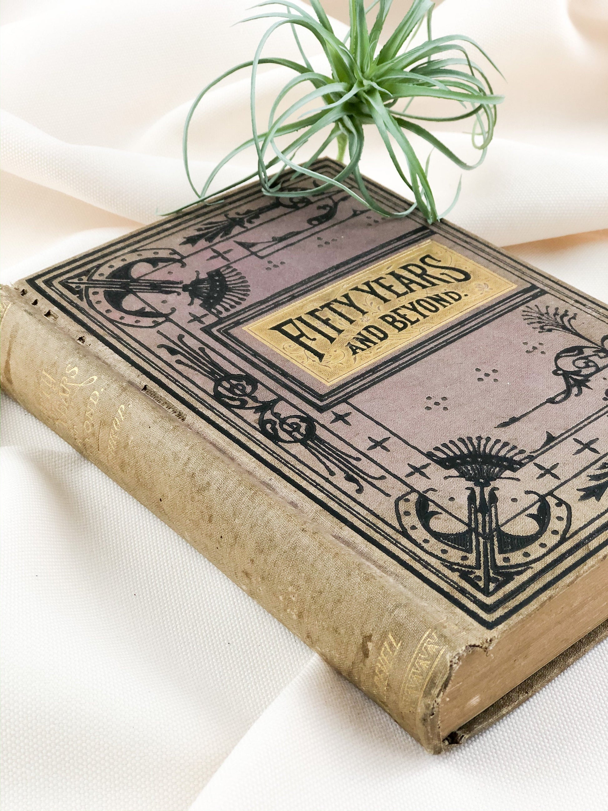 Rare Book, Fifty Years and Beyond