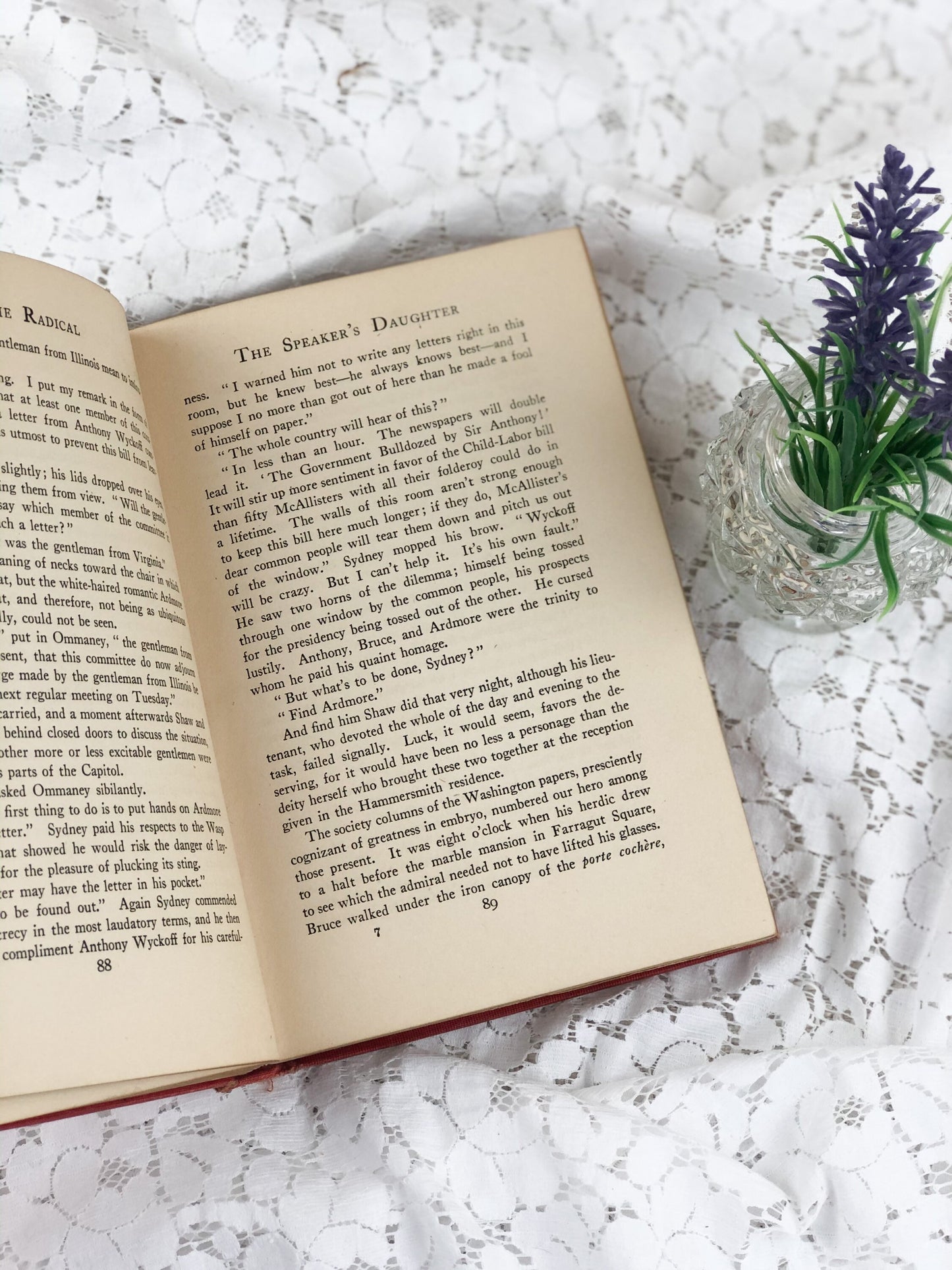 Vintage Book, The Radical