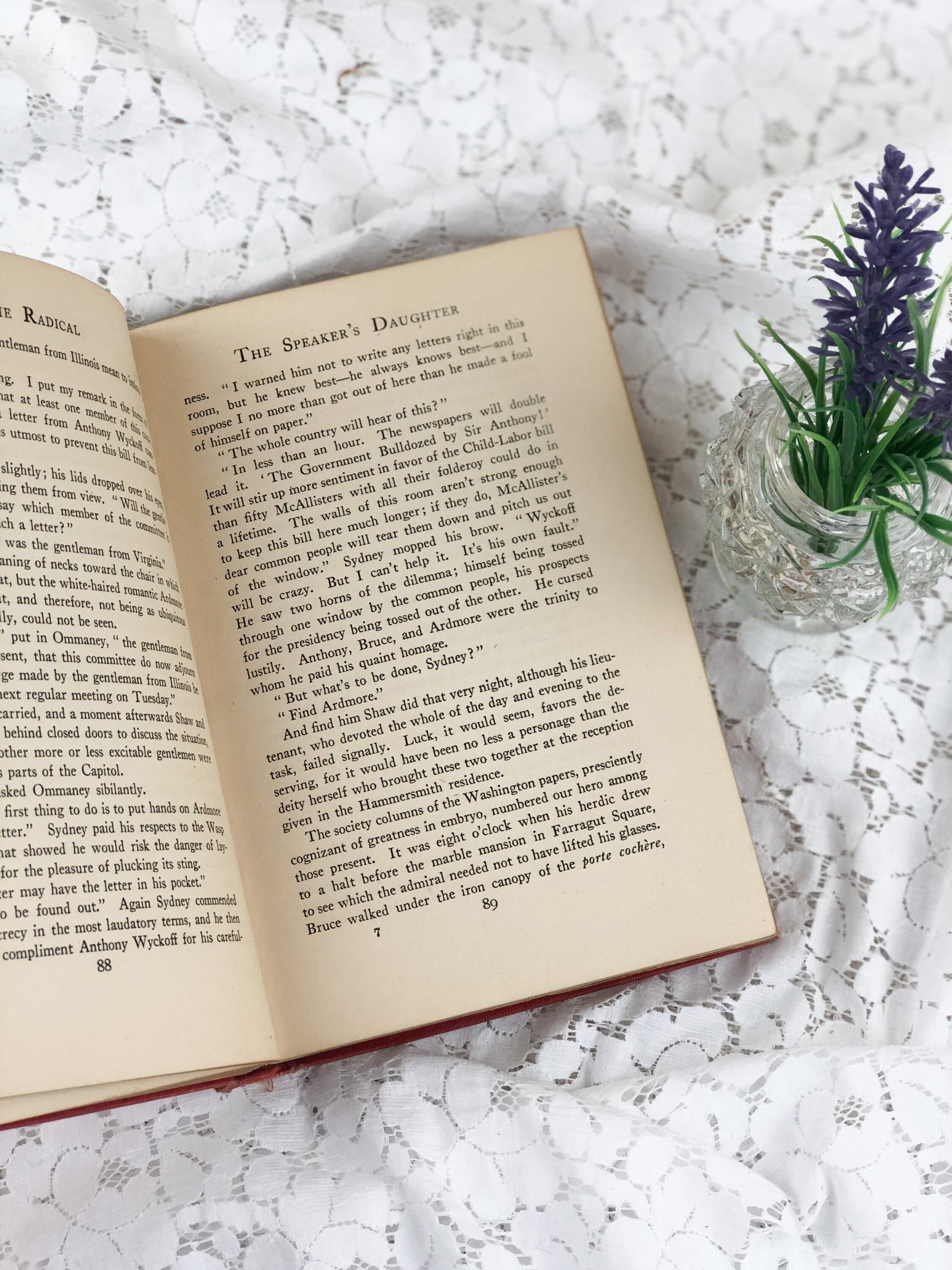 Vintage Book, The Radical