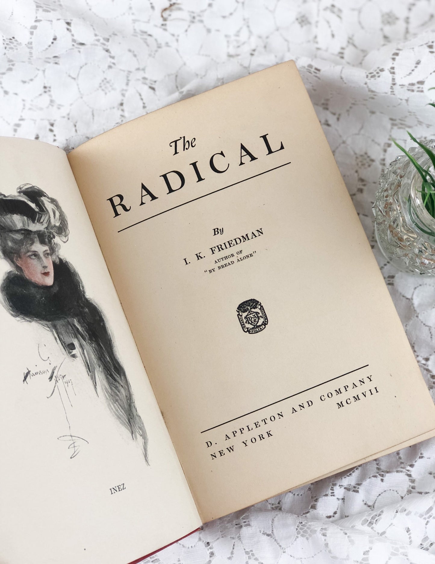 Vintage Book, The Radical