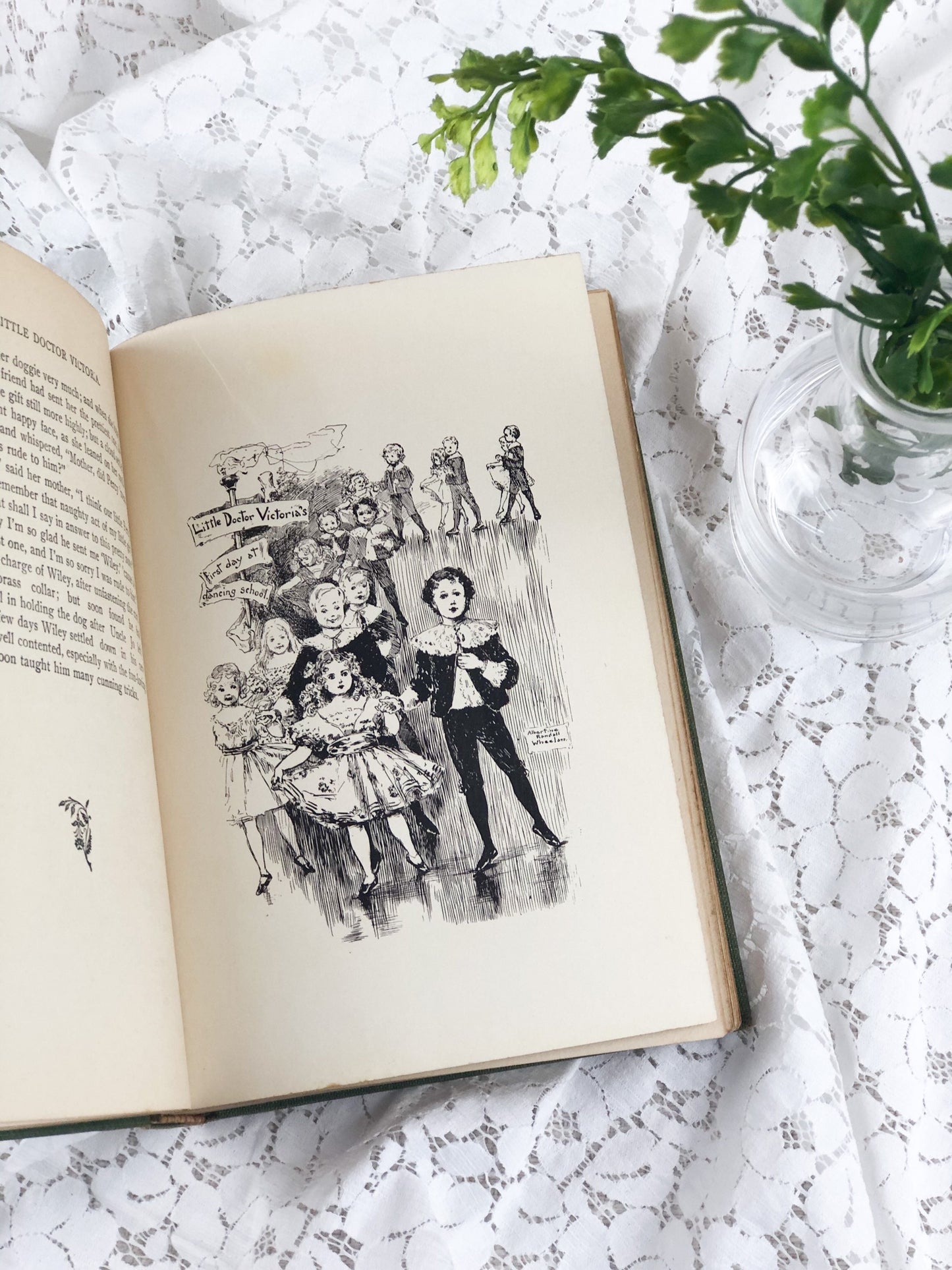 Vintage Book, Little Doctor Victoria