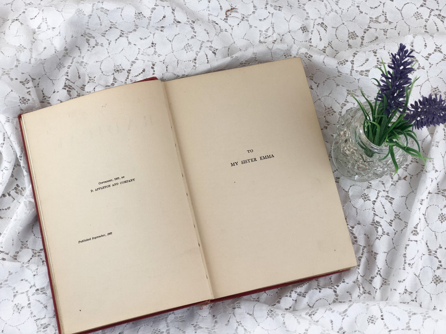 Vintage Book, The Radical